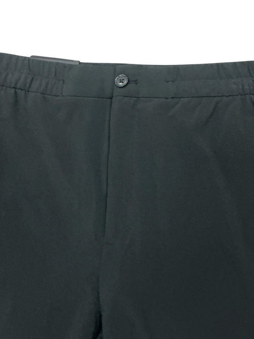 Pantalón L (BANANA REPUBLIC)