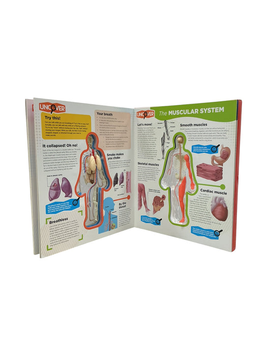 Libro interactivo (SILVER DOLPHIN)