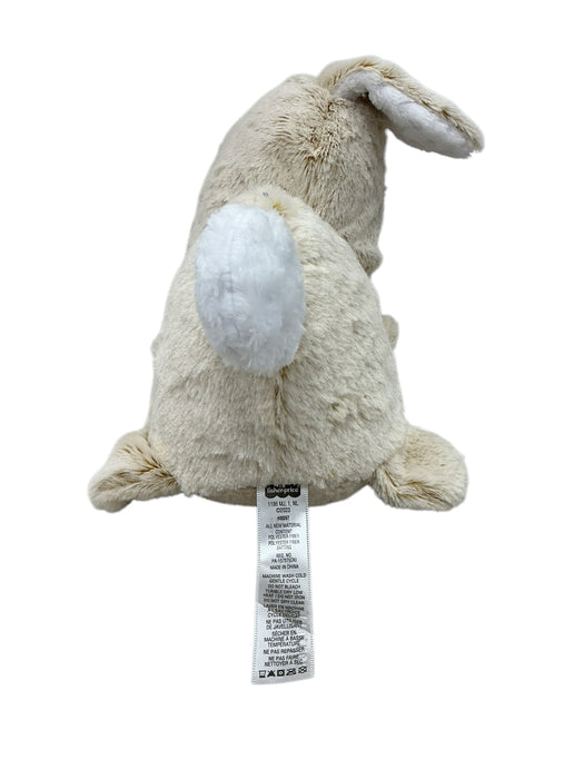 Conejo de peluche (FISHER-PRICE)