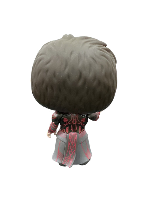 Druig (FUNKO)