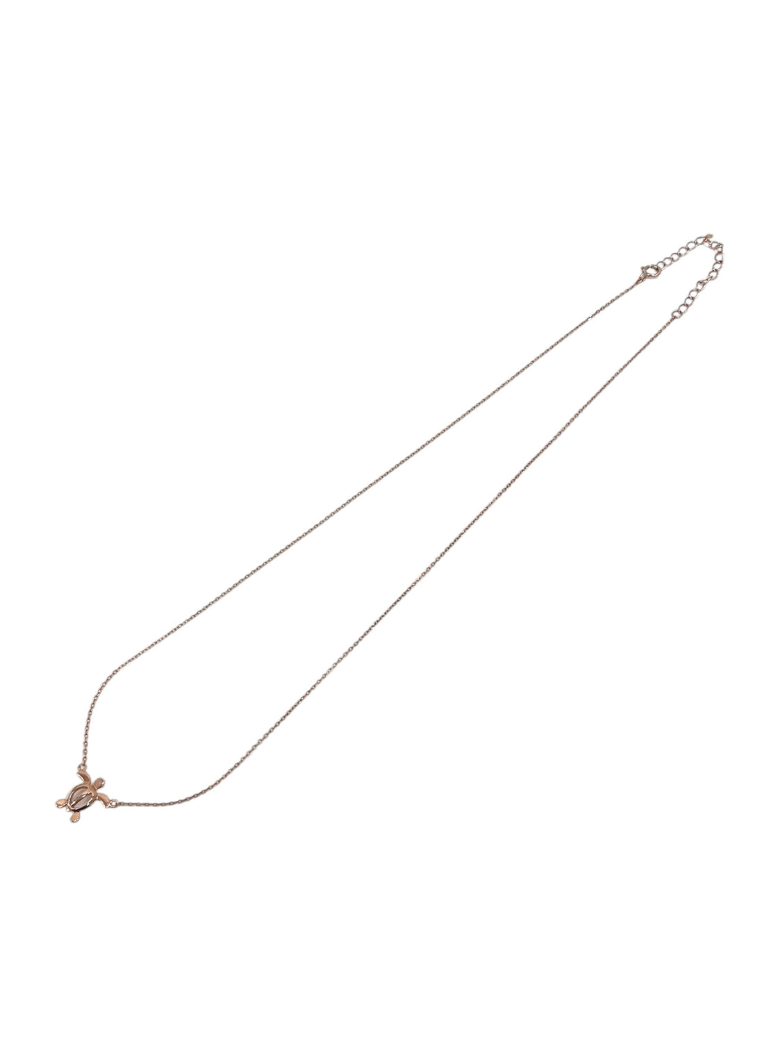 Cadena de plata (925)