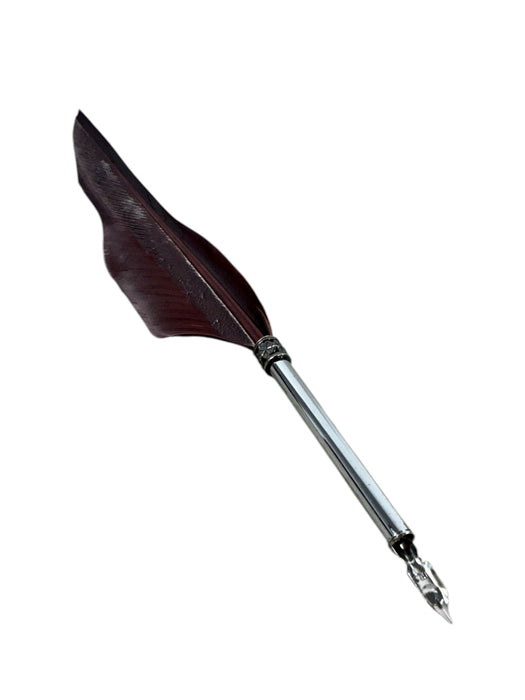 Pluma y tinta (UZY ART)