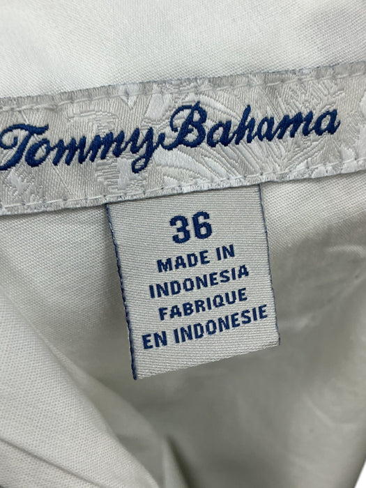 Pantaloneta 36 (TOMMY BAHAMA)