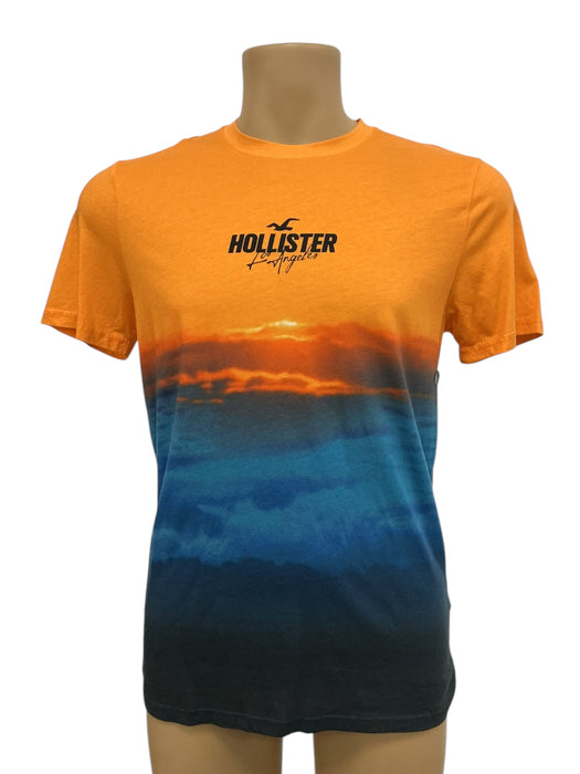 Playera L (HOLLISTER)