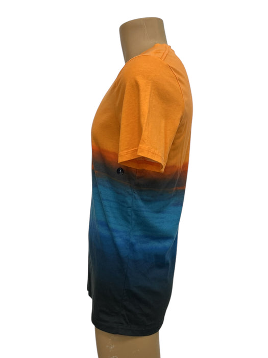 Playera L (HOLLISTER)