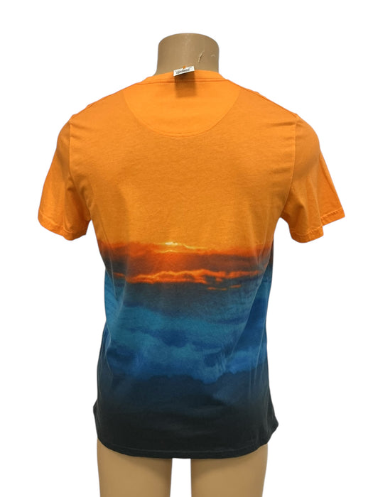 Playera L (HOLLISTER)