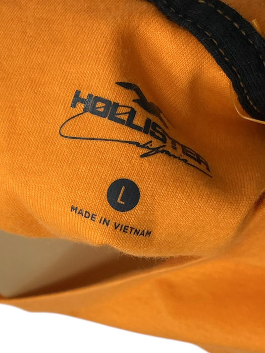 Playera L (HOLLISTER)