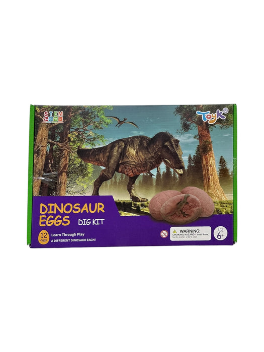 Kit de excavación de dinosaurios (TOYK)