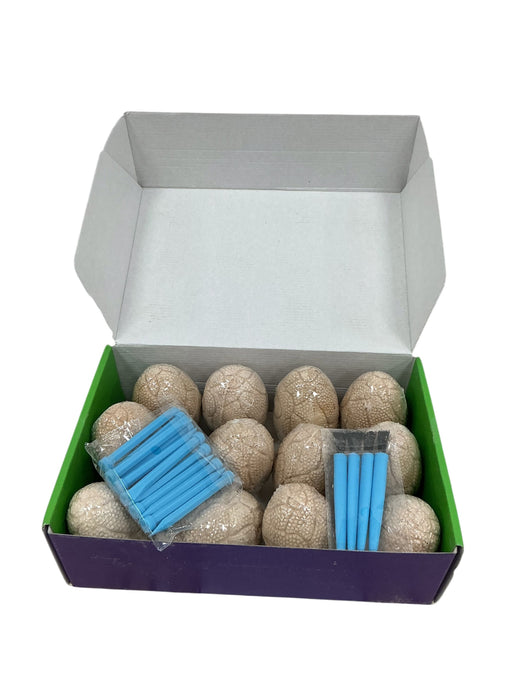 Kit de excavación de dinosaurios (TOYK)