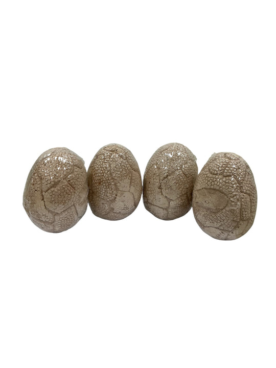 Kit de excavación de dinosaurios (TOYK)