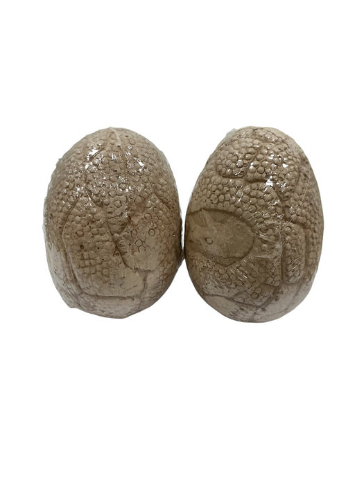 Kit de excavación de dinosaurios (TOYK)