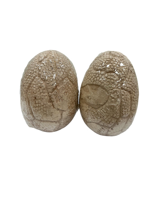 Kit de excavación de dinosaurios (TOYK)