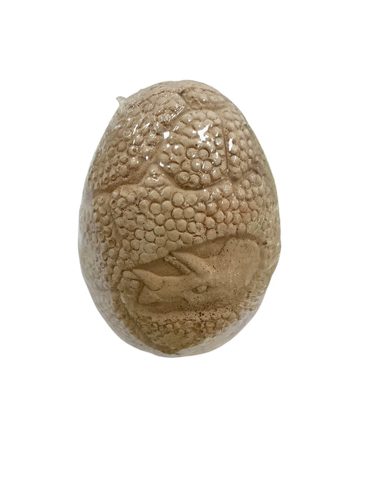 Kit de excavación de dinosaurios (TOYK)