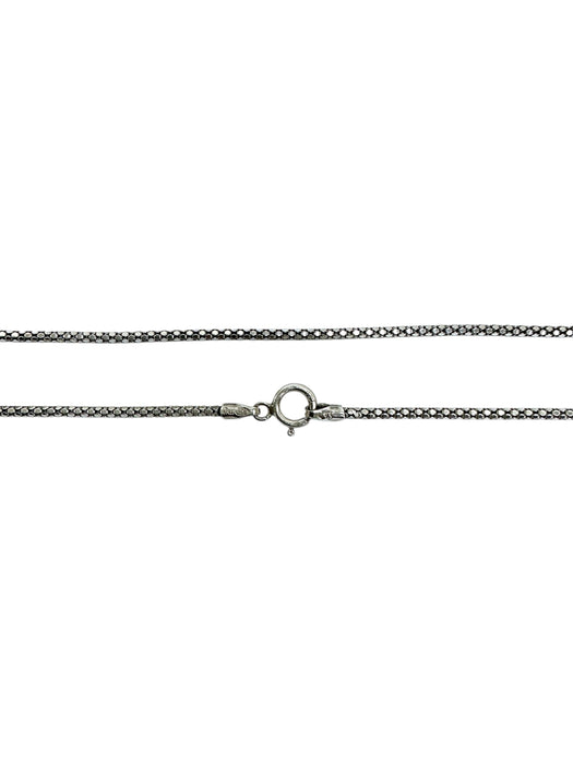 Cadena de plata (925)