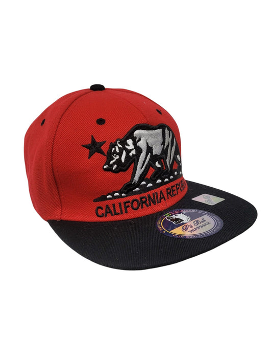 Gorra (PIT BULL)