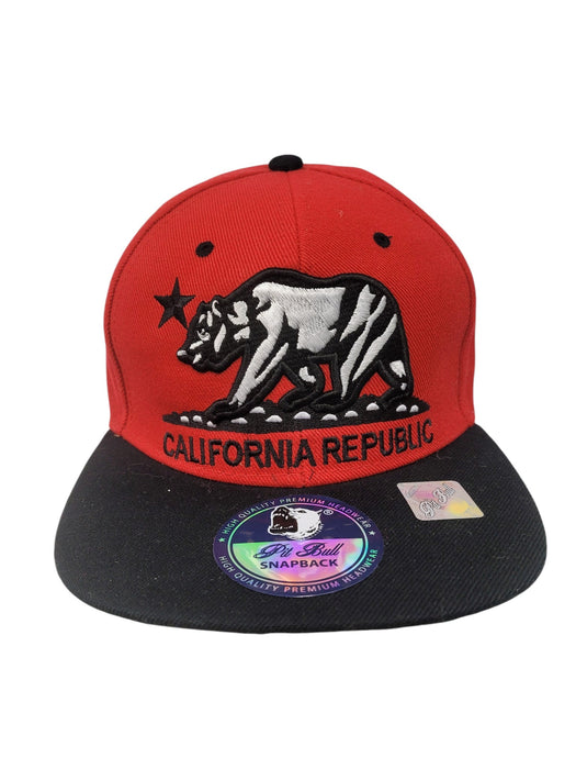 Gorra (PIT BULL)