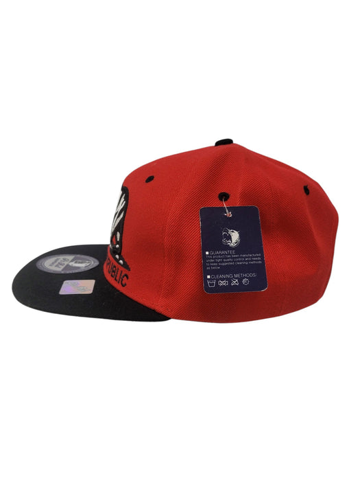 Gorra (PIT BULL)