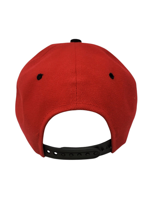 Gorra (PIT BULL)