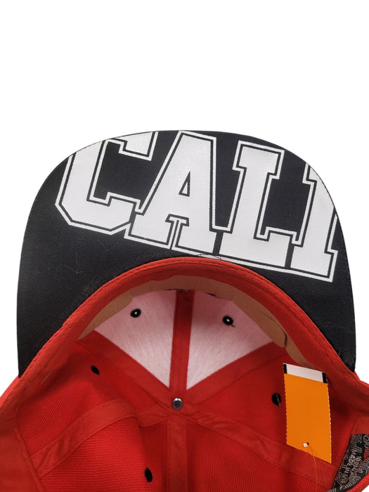 Gorra (PIT BULL)