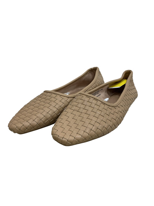 Zapato 6.5 (UNIVERSAL THREAD)