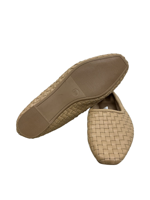 Zapato 6.5 (UNIVERSAL THREAD)