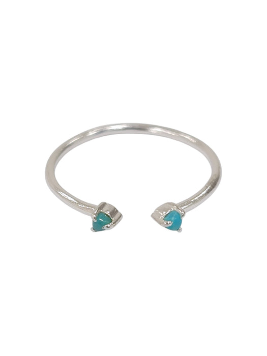 Anillo de plata
