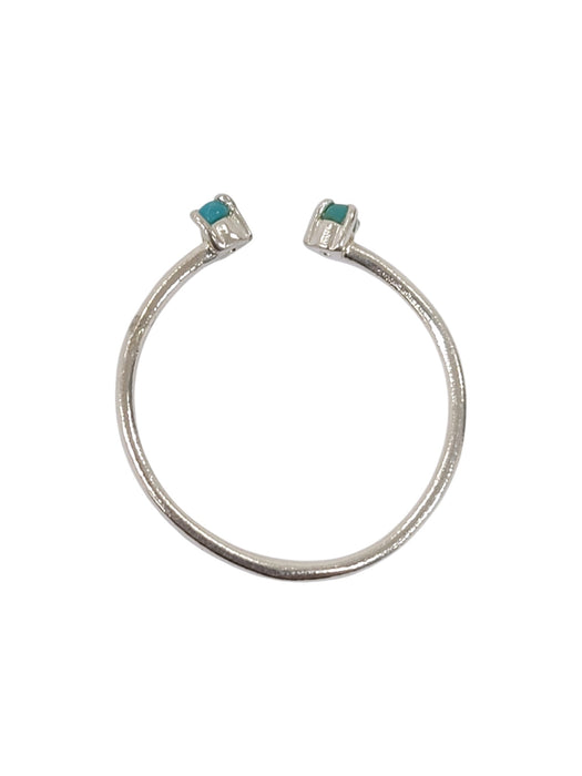 Anillo de plata