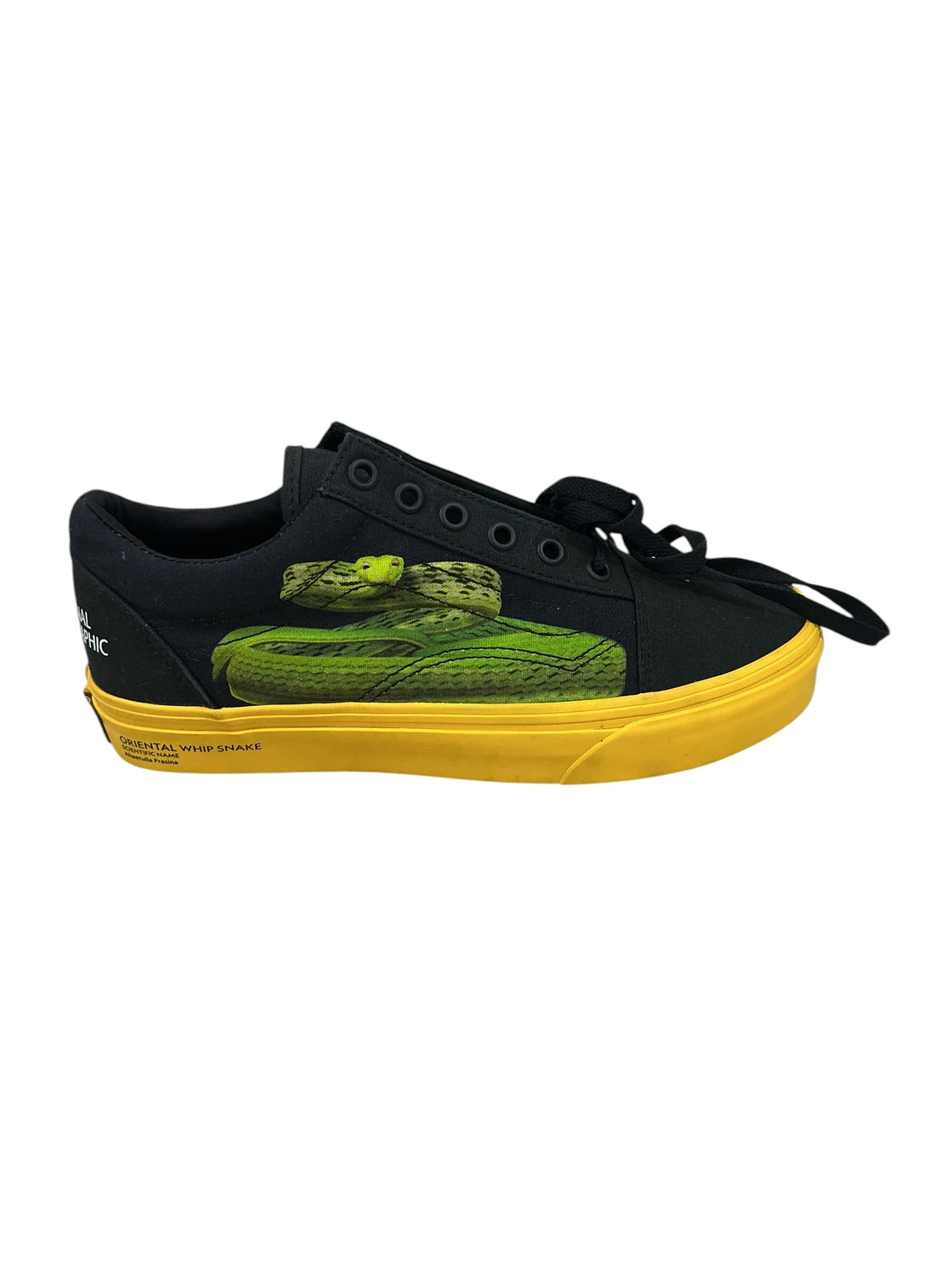 Tenis 6 (VANS)