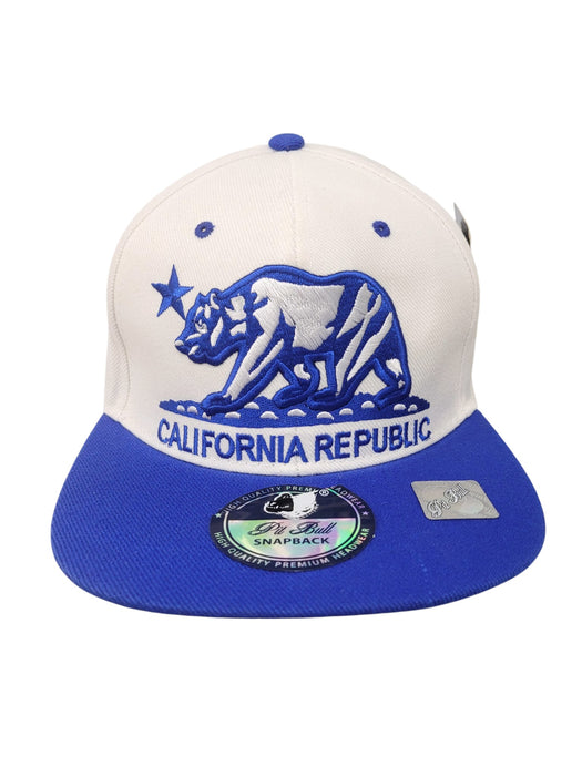 Gorra (PIT BULL)