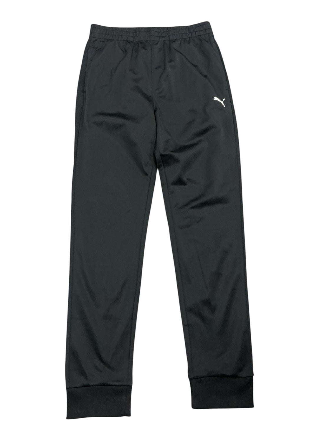 Pants L (PUMA)