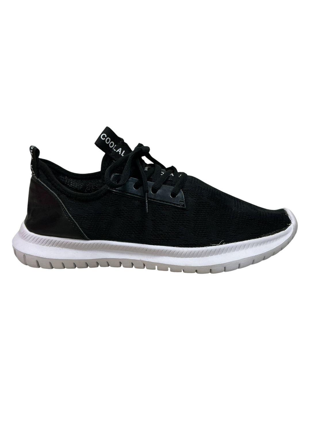 Tenis