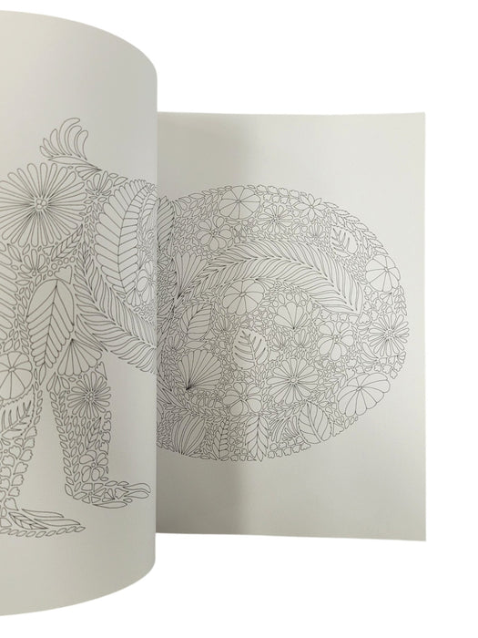 Libro para colorear (LARK)