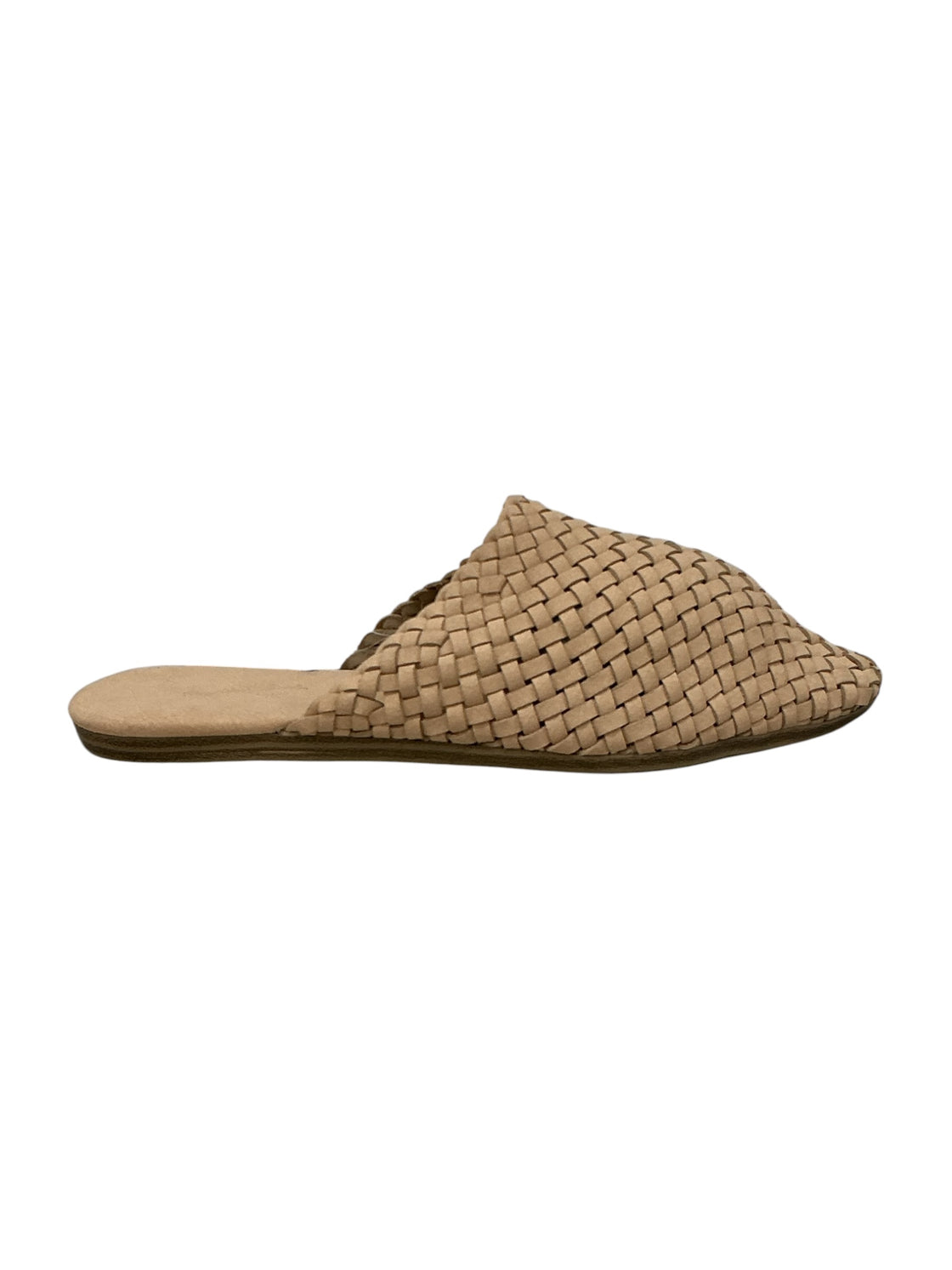 Zapato 6.5 (UNIVERSAL THREAD)
