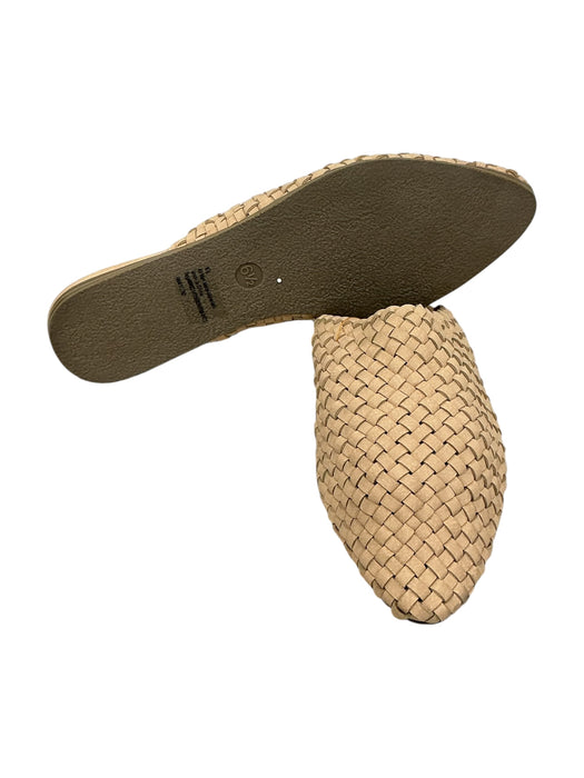 Zapato 6.5 (UNIVERSAL THREAD)