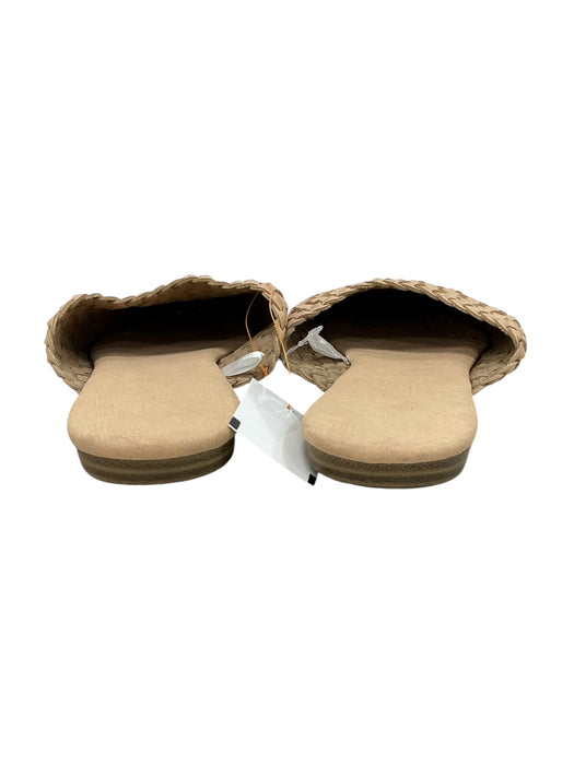 Zapato 6.5 (UNIVERSAL THREAD)
