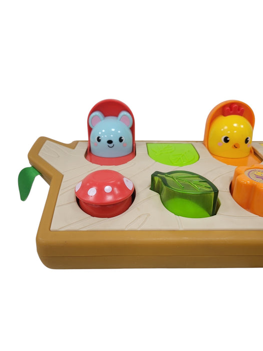 Set de Animalitos Encajables (FISHER-PRICE)