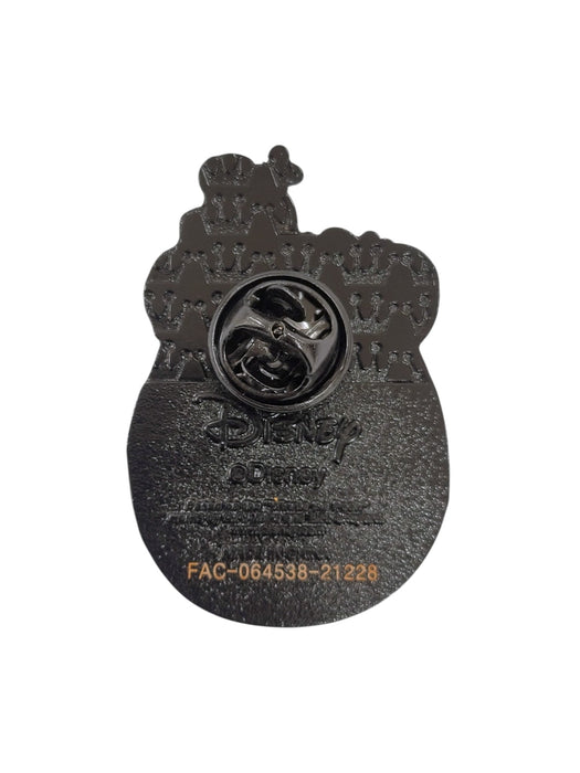 Pin de Winnie the Pooh (DISNEY)