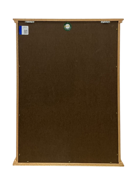 Vitrina de Pared