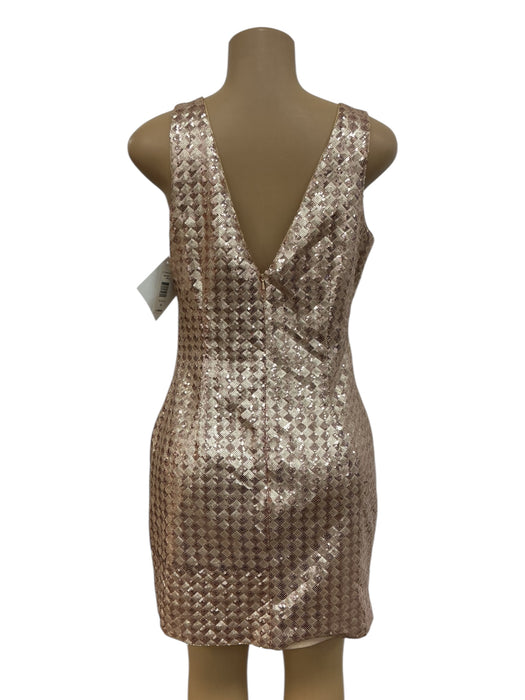 Vestido 10 (BADGLEY MISCHKA)