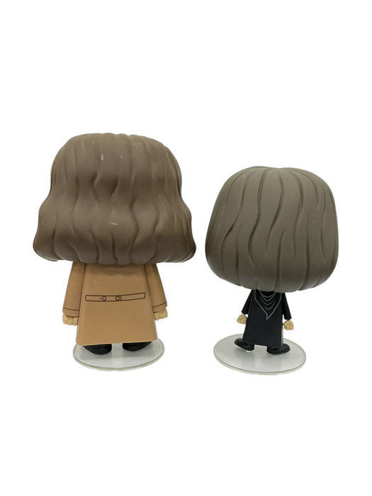 Rubeus y Harry (FUNKO)