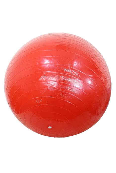 Pelota pra ejercicio (GOLD GYM)