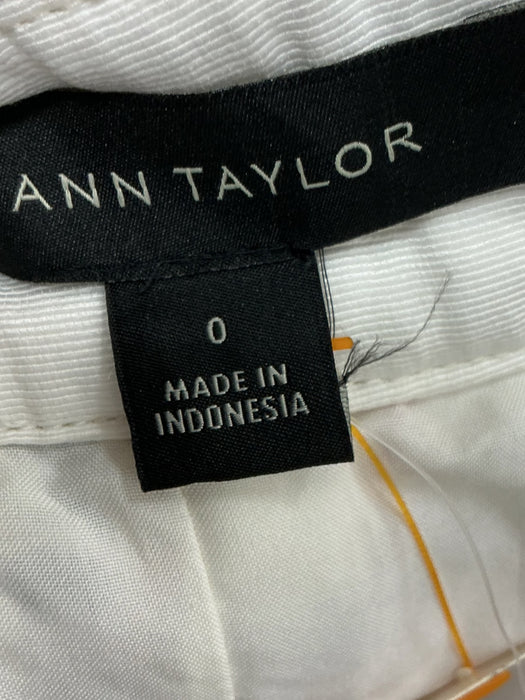 Falda 0 (ANN TAYLOR)