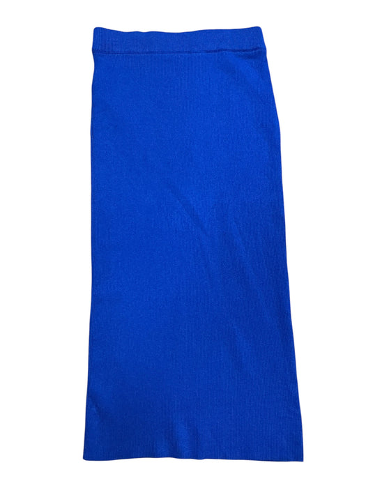 Falda S (ZARA)