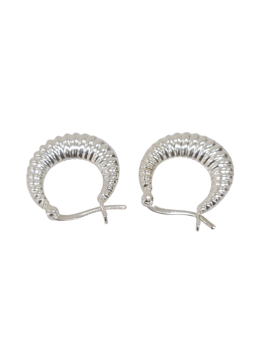 Aretes de plata (925)