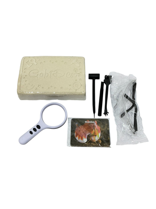 Kit de Excavación  (GOBIDEX)