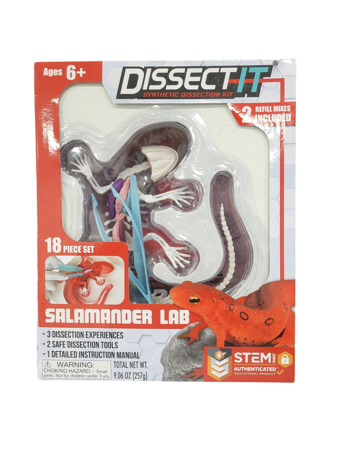 Kit de disección de salamandra (DISSECT-IT)