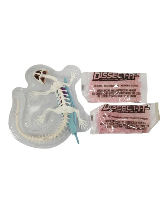 Kit de disección de salamandra (DISSECT-IT)