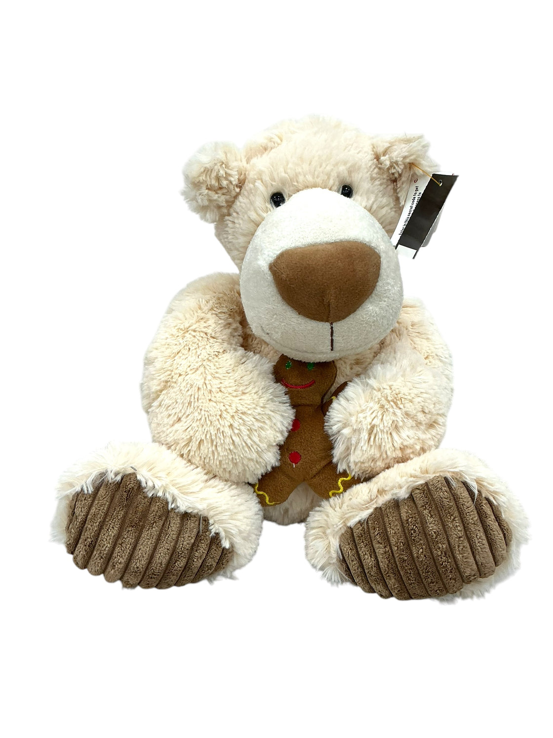 Oso (AURORA)