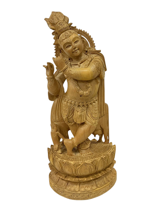 Señor Krishna
