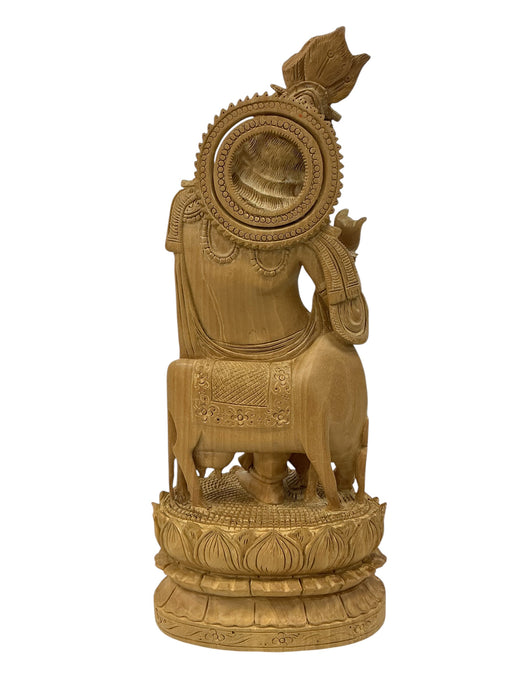 Señor Krishna